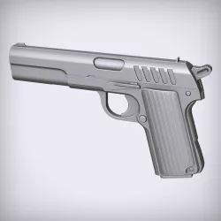 Gun