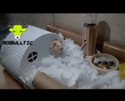 Hamster House : Hamster House