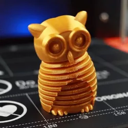 Happy owl