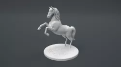 Horse Standing Pose