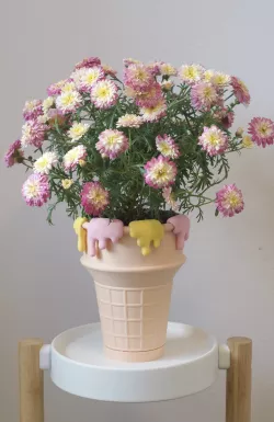 Ice cream cone planter pot