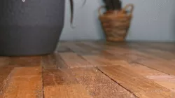 Jumpy Ghosty