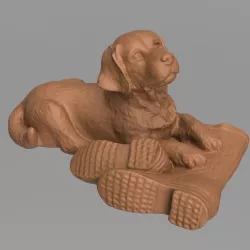 Labrador boots