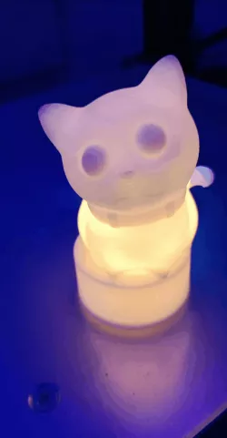 luminous cat