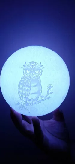 Luna Owl Lamp