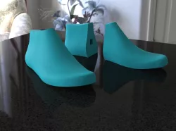 Men's boot last