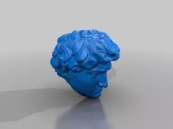 Michaelangelo's David Bust bisected at a 45 for cleanest print