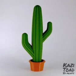 Mini Cactus set