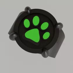 Miraculous cat noir ring