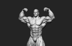 Muscal mane