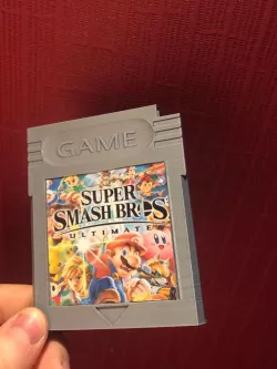 Nintendo Switch Game Case