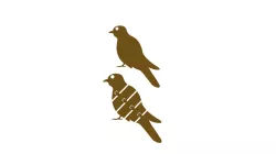 PAJARO FLEX 2 in 1