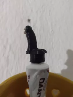 penis popping Toothpaste topper