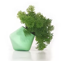 Pentagonal planter / Macetero pentagonal / Macetero pentagonal