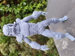 Predator