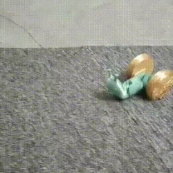 Running snail wheels