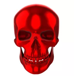 Sacred Skull