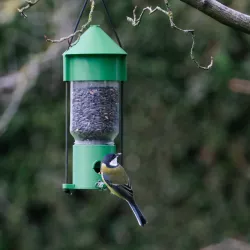 Seed Feeder for 500g Cooking Sauce Jar