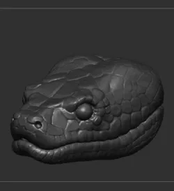 Serpent Head