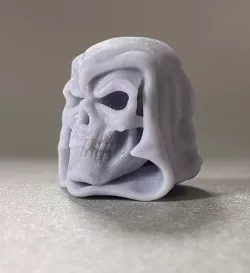 skeletor revelations head for action figures