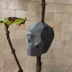 Skull - Cloning Ball - Rooting ball grafting