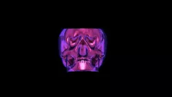 skull love pink