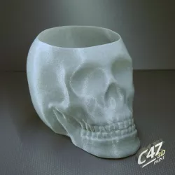 Skull Vase / Bowl