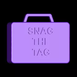 Snag The Tag Agent 2020 Hider's Tag Container