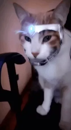 SUPERIOR IRONCAT