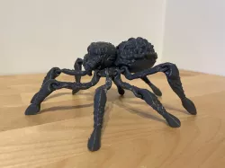 Toothy the jumping spider