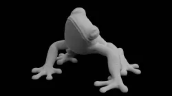 Treefrog