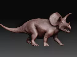 Triceratops dinosaurus