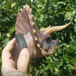 TRICERATOPS