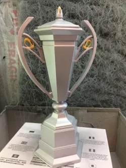 trophée des 6 nations -6 Nations trophy