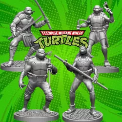Turtle Power PACK - TMNT
