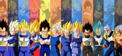 Vegeta head pack + bonus