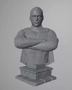 Vision Bust