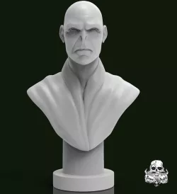 voldemort harry potter