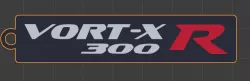 Vortex 300 R key ring