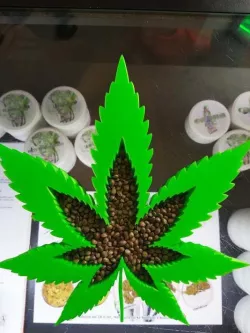 Weed Leaf Decoration /Ashtray