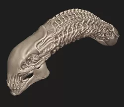 Xenomorph Skull