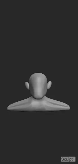3D model bust