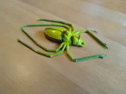 Beetle