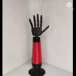Bionic Arm