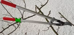Branch shears holder