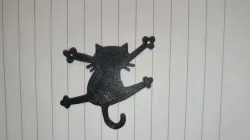cat during