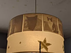 Cats Lithophane Lamp
