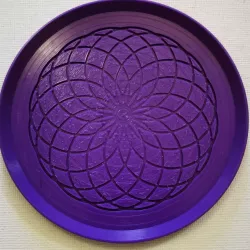 Circle Coaster