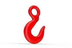 Crane hook