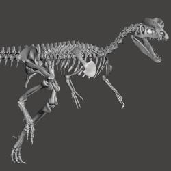 star stable a complete dinosaur skeleton 3D Models | Page 1 | STLFinder